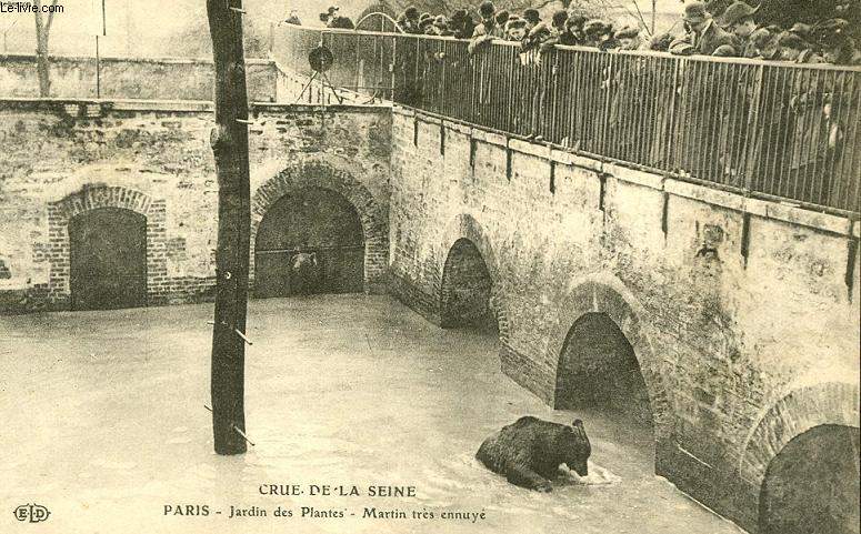 CARTE POSTALE - CRUE DE LA SEINE - JARDIN DES PLANTES