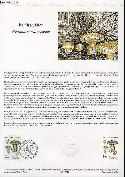 DOCUMENT PHILATELIQUE OFFICIEL N30-87 - INDIGOTIER - GYROPORUS CYANESCENS (N2488 YVERT ET TELLIER)