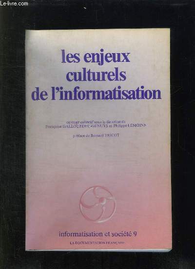 LES ENJEUX CULTURELS DE L INFORMATISATION.