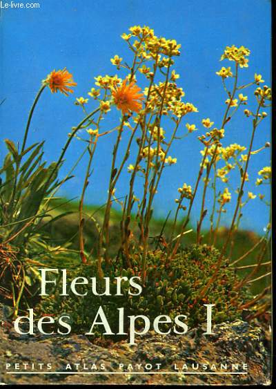 FLEURS DES ALPES 1