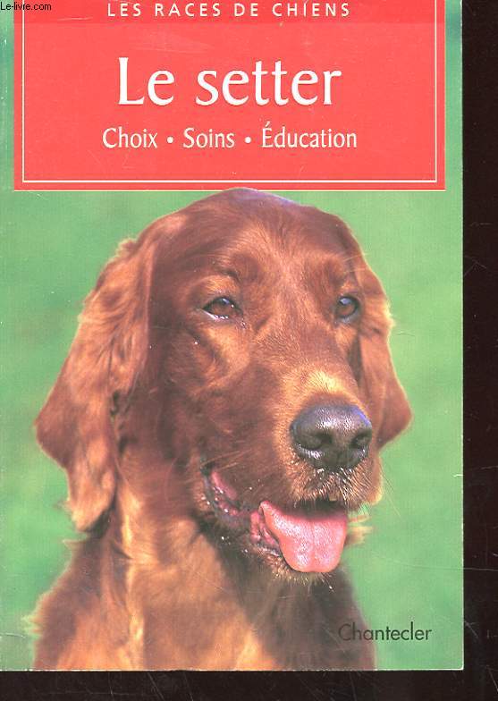 LE SETTER - CHOIX - SOINS - EDUCATION