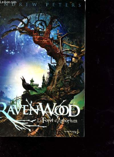 Ravenwood - tome 1: la fort d'arborium