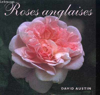 ROSES ANGLAISES