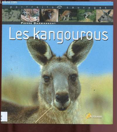 LES KANGOUROUS (DOCUMENTAIRE) - COLLECTION 