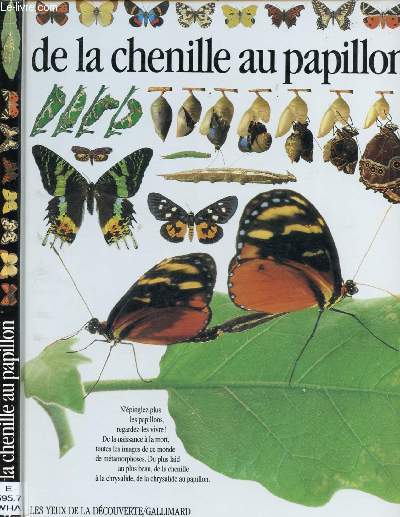 DE LA CHENILLE AU PAPILLON (DOCUMENTAIRE POUR ENFANTS)