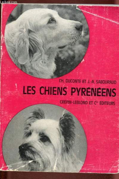 LES CHIENS PYRENEENS
