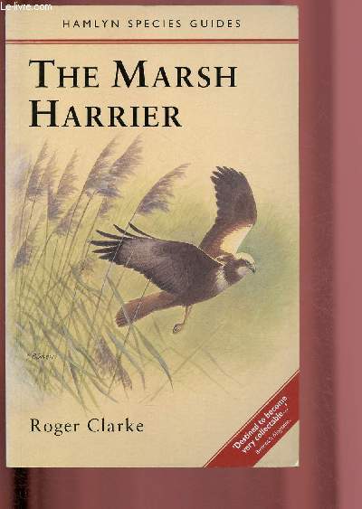 The marsh Harrier