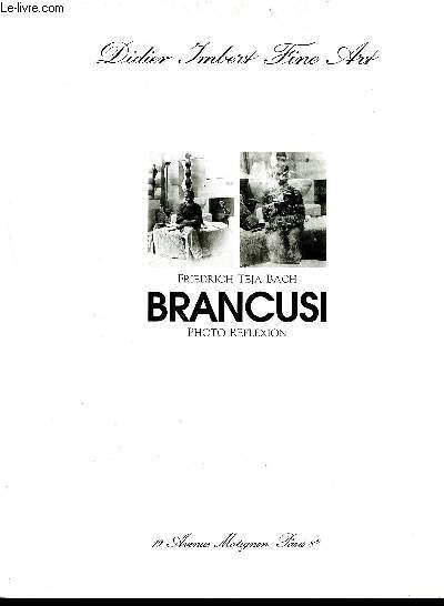 Brancusi - photo reflexion