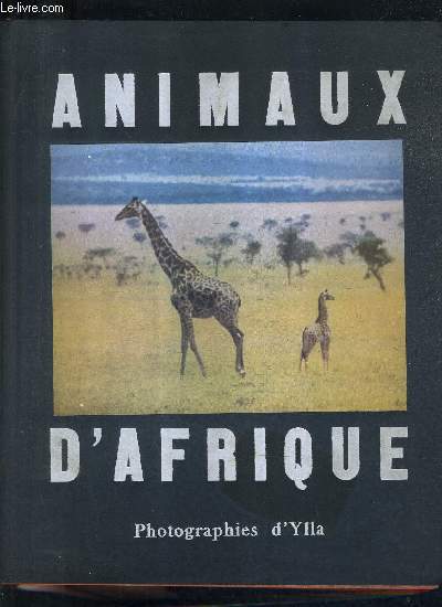 ANIMAUX D'AFRIQUE.