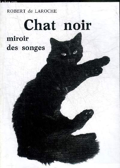 CHAT NOIR MIROIR DES SONGES.