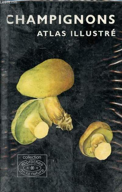 Champignons Atlas illustr