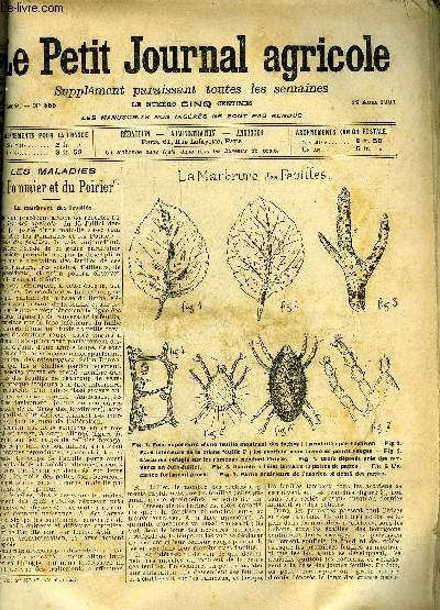 LE PETIT JOURNAL AGRICOLE N 555 - Petites cultures : Les maladies du pommier et du poirier : La marbrure des feuilles (fig.).