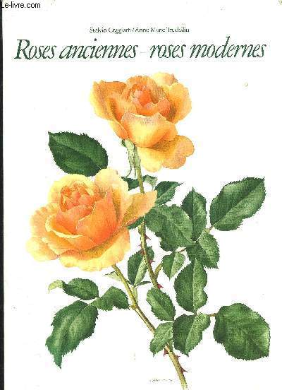 ROSES ANCIENNES - ROSES MODERNES