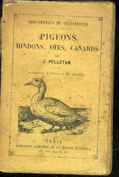 PIGEONS DINDONS OIES CANARD