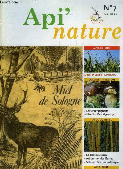 API' NATURE N7 MAI 2002 - Essaimage - sanitaire nosmose et acariose - petit voyage apiflorique - les champignons - apiculteur et braconnier en sologne - la bambouseraie etc.