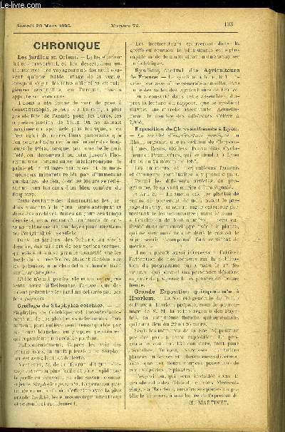 LE PETIT JARDIN ILLUSTRE N 72 - Chronique, H. Martinet ; Une bonne laitue de printemps, V. Boidin ; Anemone japonica 