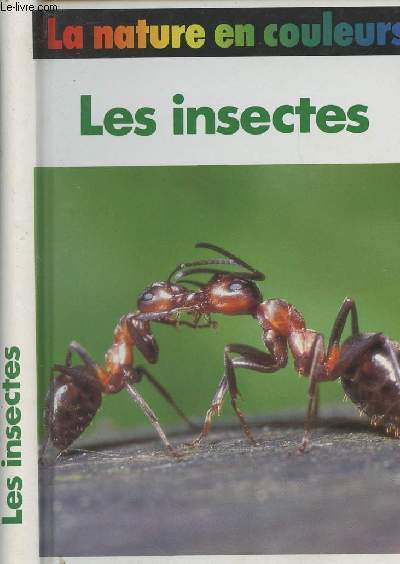 Les insectes- 