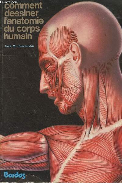 Comment dessiner l'anatomie du corps humain - 
