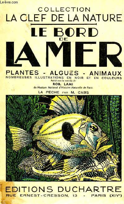LE BORD DE LA MER : PLANTES - ALGUES - ANIMAUX / COLLECTION 