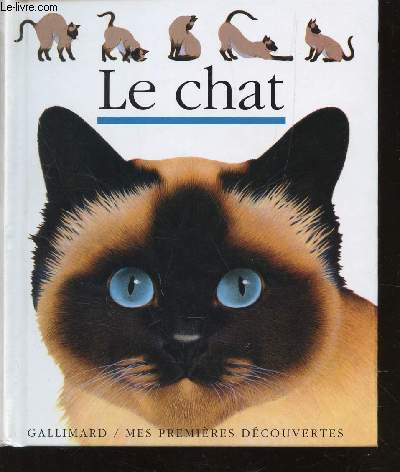 LE CHAT / COLLECTION 