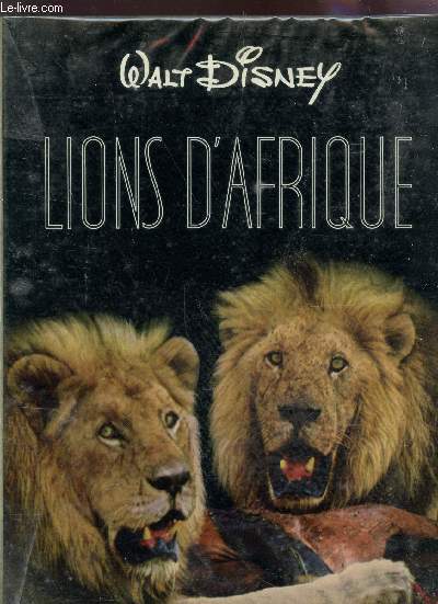 LIONS D'AFRIQUE.