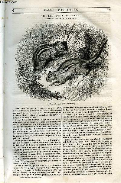 LE MAGASIN PITTORESQUE - Livraison n002 - Les cureuils de terre - l'cureuil suisse ou de Moscovie.