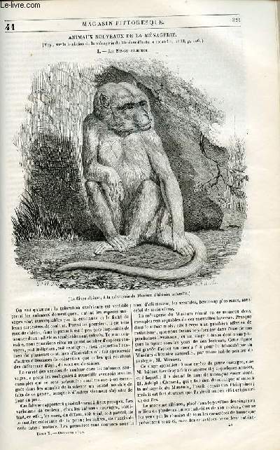 LE MAGASIN PITTORESQUE - Livraison n041 - Animaux nouveaux de la mnagerie - Le singe albinos.