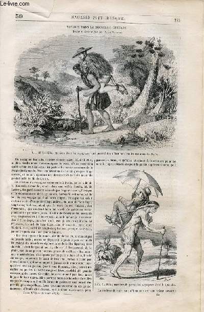 LE MAGASIN PITTORESQUE - Livraison n030 - Voyage dans la Nouvelle Grenade, texte et dessins par A. de Lattre.