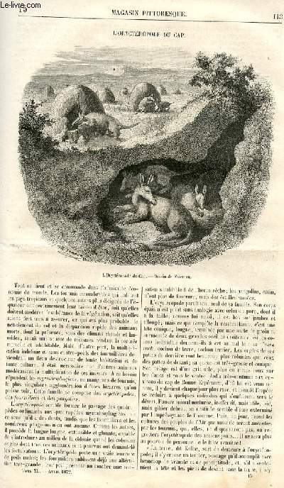 LE MAGASIN PITTORESQUE - Livraison n15 - L'oryctropode du Cap.