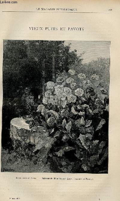 LE MAGASIN PITTORESQUE - Livraison n09 - Viuex puits et pavots, gravure pleine page de ce tableau par Jeanne Amen, grav par Puyplat.