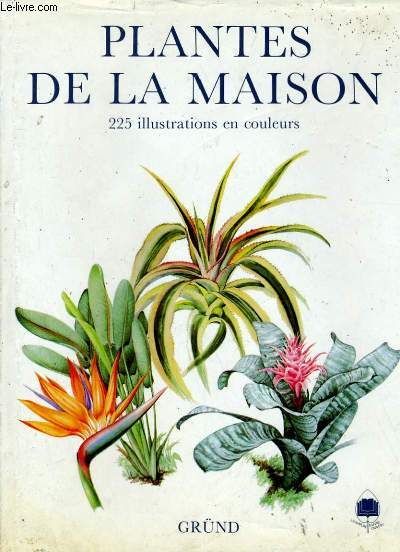PLANTES DE LA MAISON.