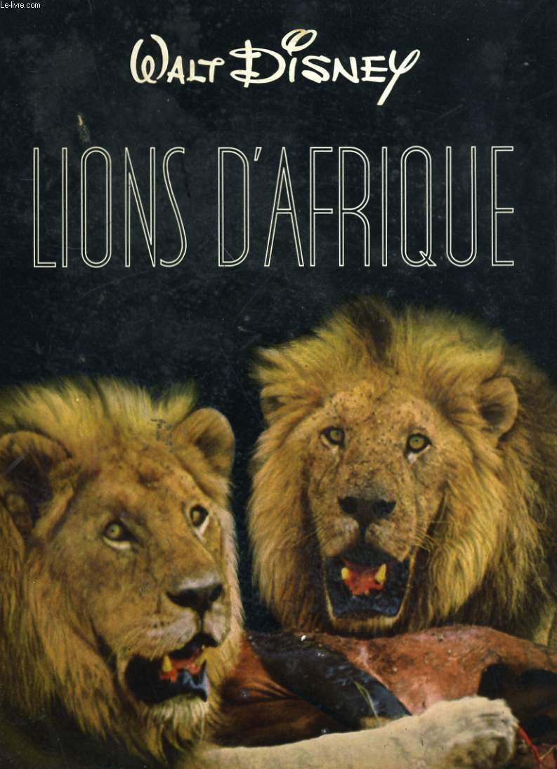 LIONS D'AFRQUE
