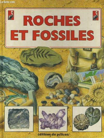 ROCHES ET FOSSILES