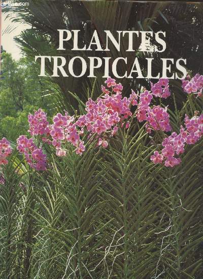 Plantes tropicales
