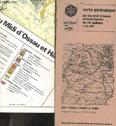 Carte geologique - pic du midi d'ossau et haut bassin du rio gallego, 1/25 000e - inclus une carte couleur