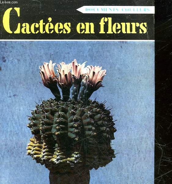 CACTEES EN FLEURS - 40 - PLANCHES EN COULEURS