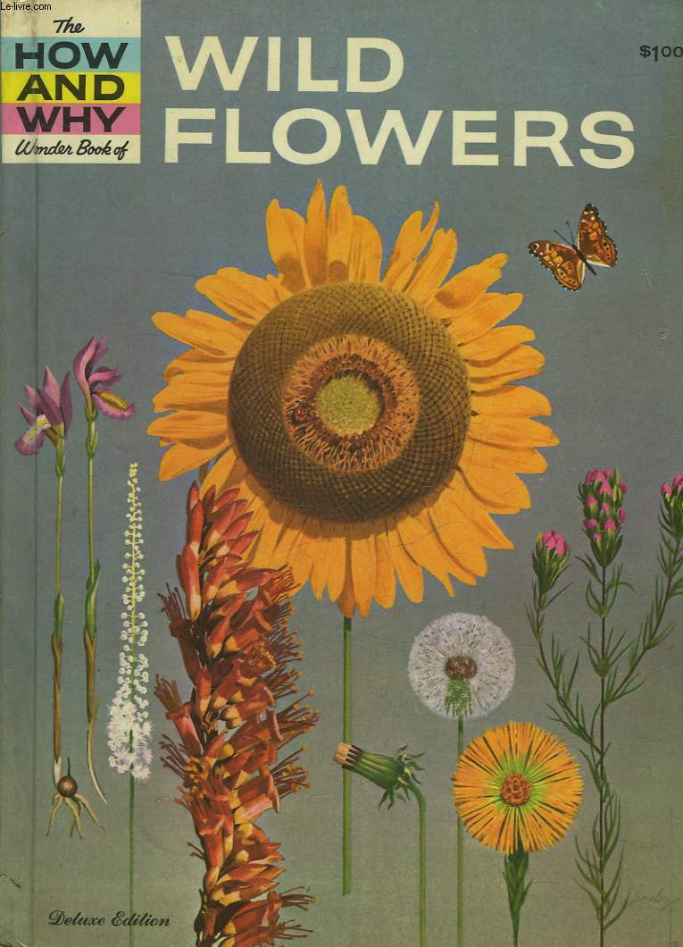 THE HOW AND WHY WONDER BOOK OF WILD FLOWES