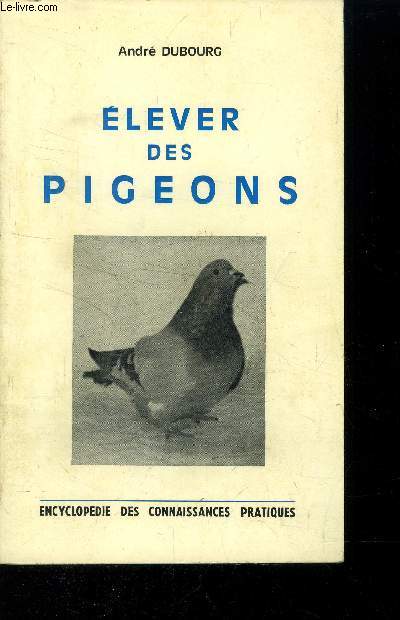 Elever des pigeons