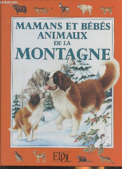 Mamans et bbs animaux de la montagne