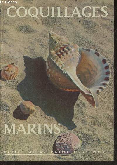 Coquillages marins