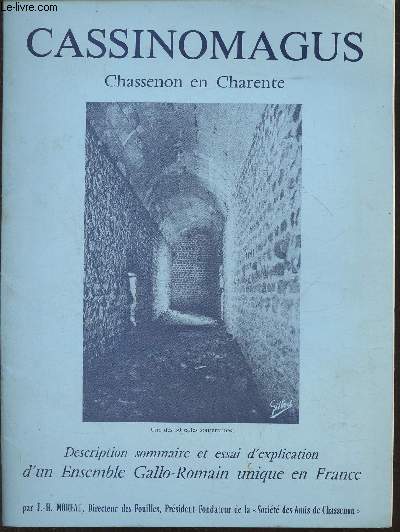 Cassinomagus, Chassenon en Charente- Description sommaire et essai d'explication d'un ensemble Gallo-Romain unique en France