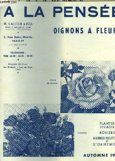 A la pense automne 1959: oignon  fleurs