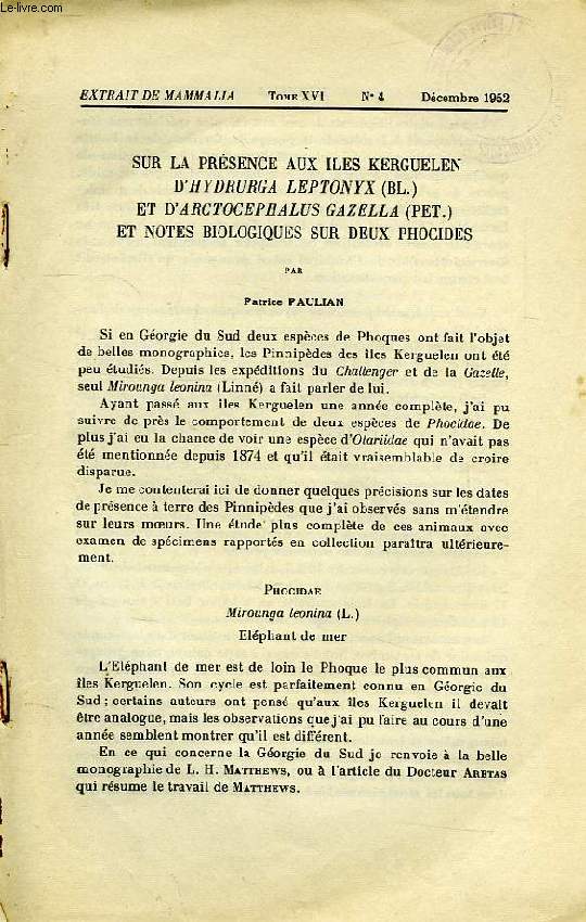 SUR LA PRESENCE AUX ILES KERGUELEN D'HYDRURGA LEPTONYX (BL.) ET D'ARCTOCEPHALUS GAZELLA (PET.) ET NOTES BIOLOGIQUES SUR DEUX PHOCIDES, MAMMALIA, MORPHOLOGIE, BIOLOGIE, SYSTEMATIQUE DES MAMMIFERES, EXTRAIT