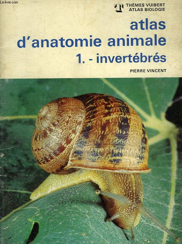 ATLAS D'ANATOMIE ANIMALE, 1. INVERTEBRES