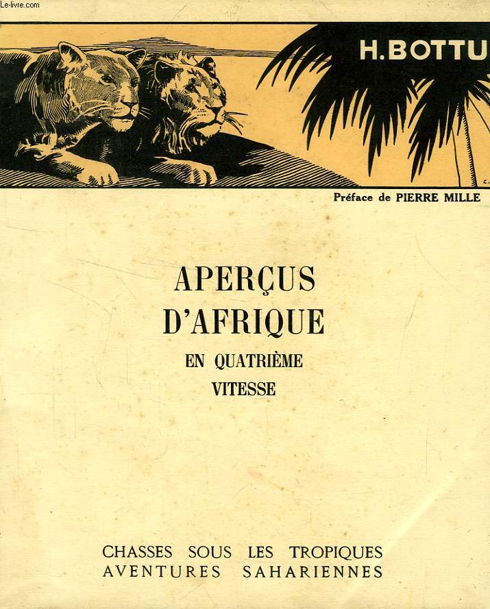 APERCUS D'AFRIQUE EN QUATRIEME VITESSE