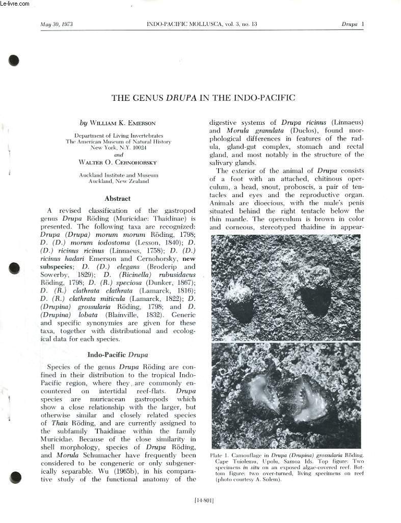 INDO-PACIFIC MOLLUSCA, VOL. 3, N13, MAY 30, 1973 : THE GENUS DRUPA IN THE INDO-PACIFIC BY WILLIAM K. EMERSON AND WALTER O. CERNOHORSKY