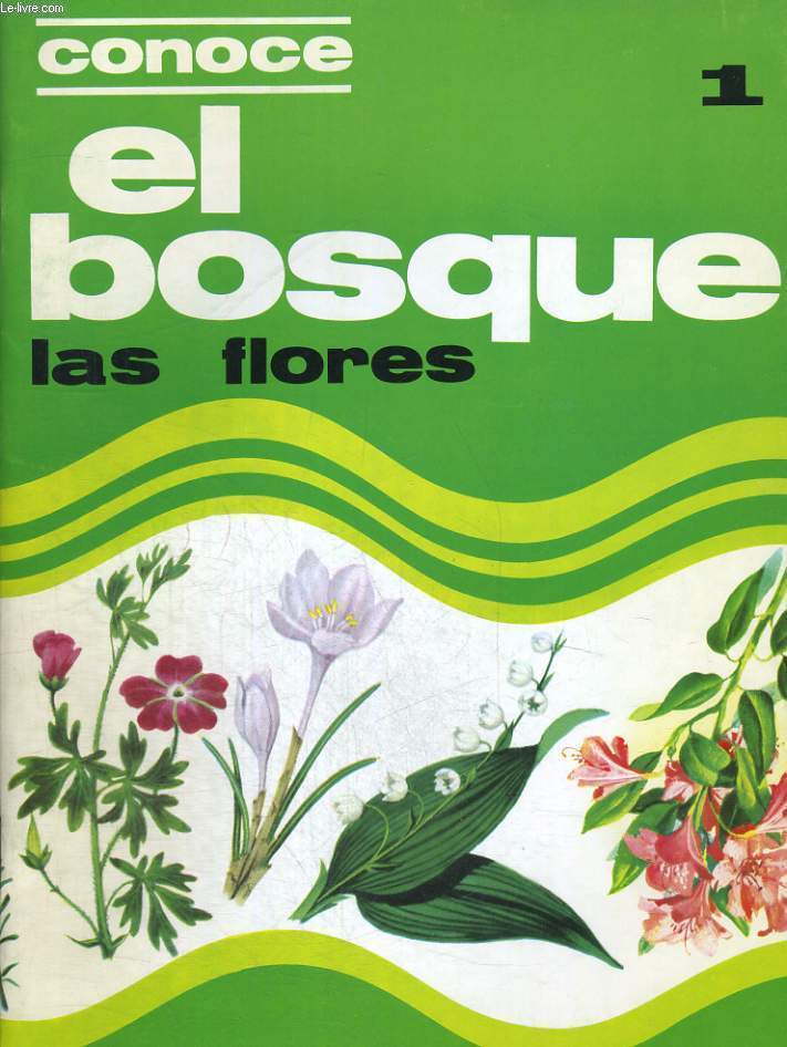 EL BOSQUE. CONOCE 1 : LAS FLORES