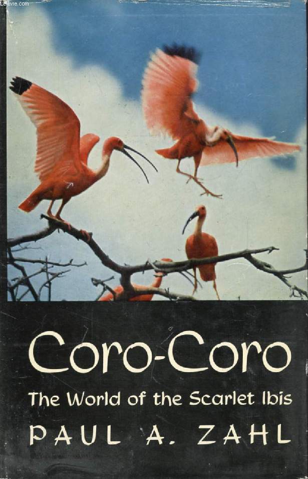CORO-CORO, The World of the Scarlet Ibis