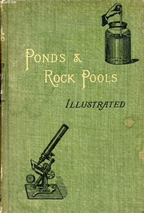 PONDS AND ROCK POOLS
