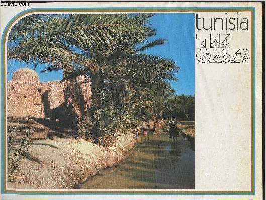 The Tunisian oases